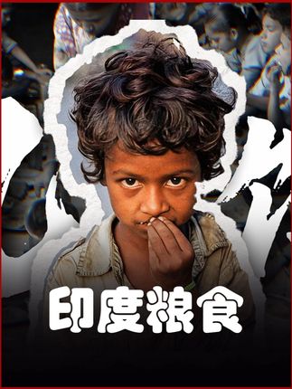 拥有世界第一的粮食产量居然是个饥饿大国 #印度 #人文社科 #粮食 #硬核深度计划