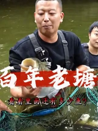 小飞哥包下百年老塘的第二天,看看收获如何#三农 #助农 #小飞哥抓鱼 #户外 #农村生活