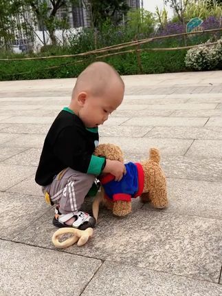 趣巢电动牵绳狗玩具狗毛绒仿真小狗唱歌儿童女孩玩偶公仔泰迪犬#玩偶公仔泰迪犬 #趣巢电动牵绳狗