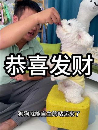 狗狗恭喜发财,三步教会大家。