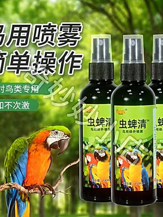 鹦鹉啃咬身体还食欲不振,那就是生虫的表现,不及时阻止会危及鸟命 #驱虫喷雾 #养鹦鹉日常分享 #养鹦鹉必备