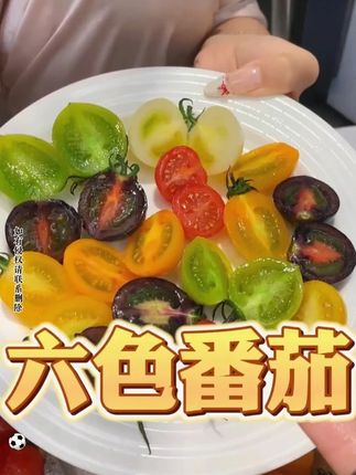 一次就能吃到6种番茄耶!不仅颜色不一样,口感也不一样呀! #小番茄 #应季水果 #脆甜多汁