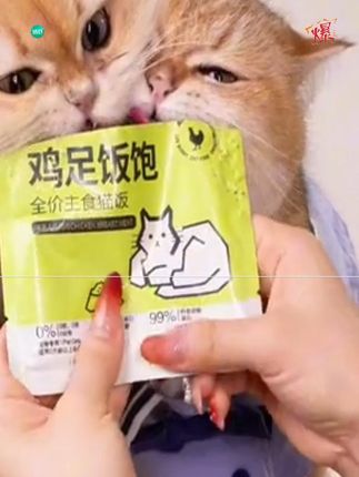 一二三伴【好评99%猫饭】猫咪主食餐包猫粮发腮成猫幼猫湿粮套餐#向全世界安利 #猫粮 #猫粮推荐 #新手养猫 #小奶猫