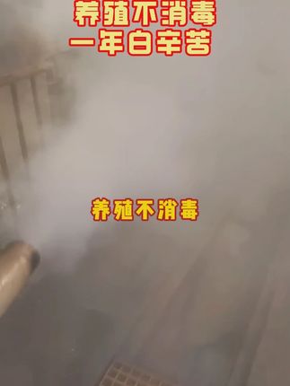 为什么这么多养殖户都选择用过硫酸氢钾消毒? #养殖#养殖#家禽养殖#牧商网过硫#鸡鸭鹅养殖