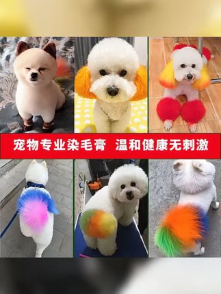 宝儿同款宠物染发剂来啦专为狗狗猫咪设计白色款适合比熊泰迪安全染发让萌宠更出众宠物护理宠物美容宝儿同款比熊染发泰迪染色 #比熊宝宝 #精致小狗已上线 #宠物染发 #萌宠出道计划 #狗狗护理