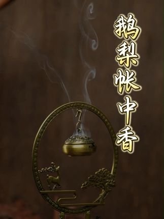 喜欢品香的朋友们,这款鹅梨帐中香真的值得品味!#东方美学 #香文化 #品香