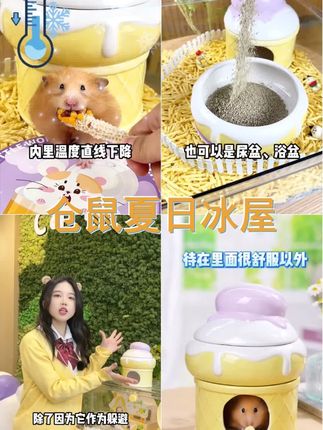 仓鼠躲避屋卡诺芋泥陶瓷窝冰屋金丝熊大号降温板夏天降温神器冰垫 #仓鼠 #养鼠日常分享 #仓鼠用品 #仓鼠夏季用品 #仓鼠躲避