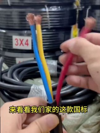 国标电线电缆线2芯1.5/2.5/4平方3芯护套线户外防冻 #国标电线 #电缆线 #国标电缆线 #护套线 #防冻