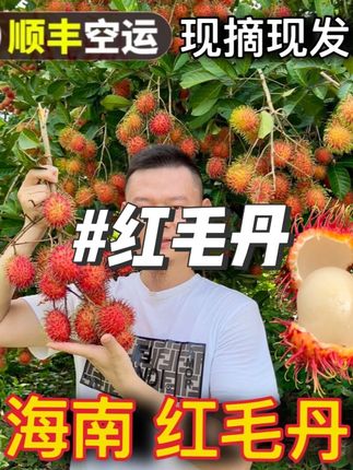海南保亭红毛丹7号果礼盒装应季水果现摘现发孕妇水果#红毛丹 #海南红毛丹 #水果红毛丹 #视频同款 #好物推荐
