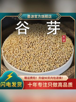 谷芽谷牙生谷芽粟谷芽新货高发芽率#谷芽 #纯天然无添加 #泡水