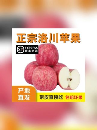 露思说 这个延安苹果 又大又红 ,是她目前认为非常好吃的苹果