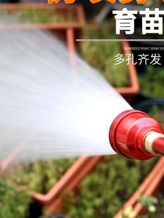 2000目育苗长杆水枪浇花浇菜育苗用喷雾喷头喷水器浇花喷头洒水#长杆水枪 育苗长杆水枪#洒水喷头 浇花浇菜#喷雾器喷头