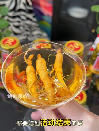 #人参枸杞酒 #口粮酒 #性价比好酒 #酒水 #强烈推荐