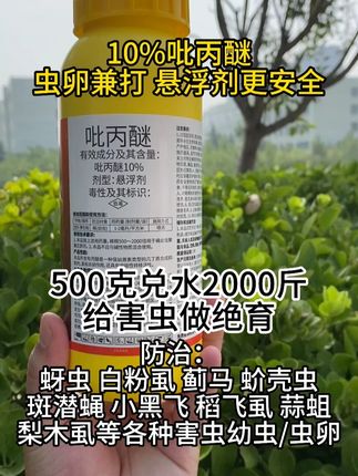 杀虫见杀卵,虫卵一锅端,整季无害虫#吡丙醚 #杀虫剂 #我的农资之路 #抖音助农 #果园管理