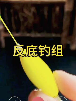 专功大鱼的自动反底钓组,钩饵反底悬浮,避开石头杂草 #好物推荐 #钓鱼技巧 #反底双钩 #欧鲤钓 #子线双钩 新升级双钩成品欧鲤反底钓组伊势尼鱼钩专攻大物海钓垂钓路亚装备