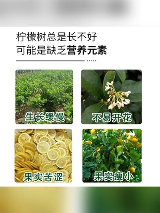 柠檬树专用肥料地栽庭院四季果树颗粒型复合肥缓释肥有机肥料追肥#柠檬树 #专用肥料 #地栽 #果树 #复合肥
