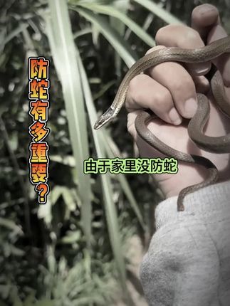#汼楯驱蛇粉 #驱蛇粉守护家人安全 #防蛇 #蛇出没的季节 #有蛇