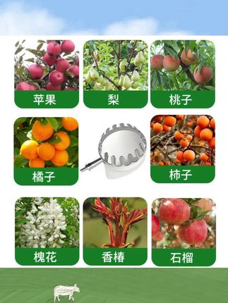摘水果神器新款枇杷杨梅芒果李子桃子高空摘果器采果摘果子园艺剪#摘水果神器 #高空采果 #园艺工具 #水果采摘 #实用神器