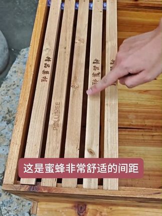 中蜂专用蜂路钉,标准蜂路0.8厘米 #蜂路钉 #巢框钉 #蜜蜂蜂路 #养蜂用具 #中蜂养殖 ZG