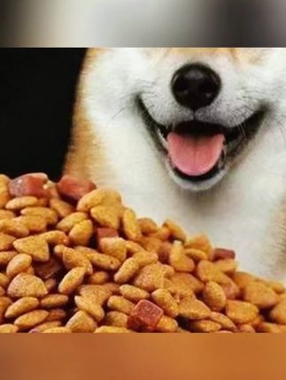 #狗粮 土狗通用狗粮5斤10斤20斤柴犬田园犬小鹿犬成犬幼犬通用型狗粮 #通用狗粮 #成犬狗粮 #全价狗粮 #大袋狗粮