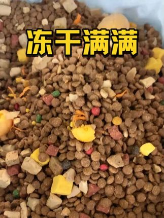 全犬期通用配方,源头直发高鲜肉高冻干 #狗粮 #修狗的日常 #养狗人 #养狗的乐趣 #喂狗