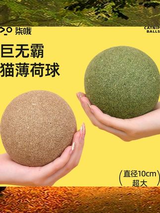 猫玩具超大猫薄荷球自嗨解闷神器猫猫小猫逗猫棒宠物猫咪用品磨牙 #科学运动 #居家锻炼 #健身好物