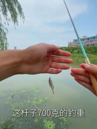 颜值高 易上手 溪流竿 #小物钓 #原来钓鱼才是抖音运动顶流 #爱生活爱钓鱼 #户外钓鱼 #溪流钓
