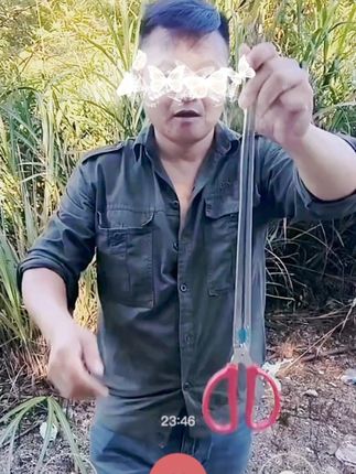 夹黄鳝,赶海就是实心不锈钢的夹子。 #赶海 #黄鳝夹 #夹子 #户外 黄鳝夹子不锈钢泥鳅夹螃蟹夹加厚防滑赶海夹子鳝鱼泥鳅专用工具
