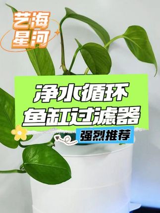 一款过滤效果非常不错的上置鱼缸过滤器,而且颜值还非常的高,大小鱼缸都可以使用#鱼缸过滤器 #养鱼 #鱼缸过滤 #滴流盒过滤 #好用的鱼缸过滤 S