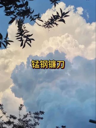 农用加长柄镰刀割草刀弯刀户外玉米割麦子韭菜开山打草野营禾镰刀 #镰刀 #农业镰刀 #割草镰刀推荐 #抖音美好丰收节 #在抖音入手的好东西 #无限回购的宝藏单品
