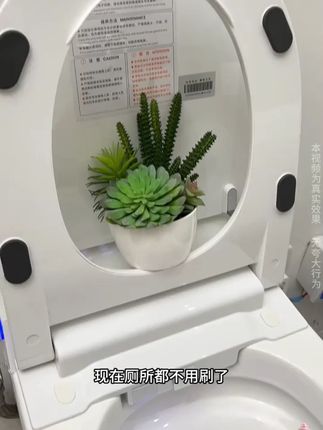 家里的卫生间总是一股味,一定要试试这个洁厕液,不仅刷的干净,用完卫生间还香香的。#洁厕剂 #卫生间好物