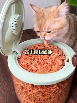 猫咪毛发干枯爱打结?试试这个南极磷虾,里面的虾青素对毛发超好的,我家小花吃的毛发光亮有顺滑!还不打结~#猫零食 #猫咪零食 #冻干南极磷虾 #猫咪冻干 #猫咪冻干零食推荐