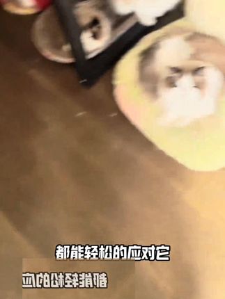敌特宠物除臭剂 29块9到手4斤,好用又不贵!  #萌宠好物  #养猫好物  #除臭剂  #生物酶除臭  #除臭喷雾