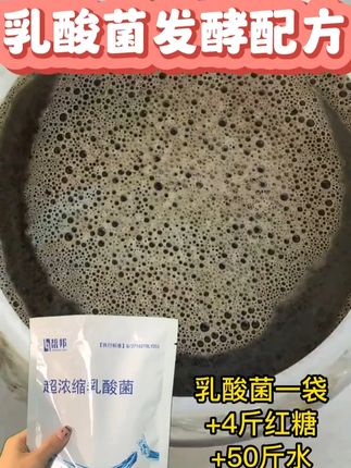 乳酸菌发酵配方#水产养殖 #对虾养殖 #南美白对虾 #乳酸菌