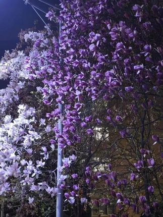 日系超轻防水牛津布包男女百搭单肩斜挎包尼龙轻便实用马鞍包9002#斜挎包 #单肩包 #马鞍包 #轻便斜挎包 #百搭单肩包