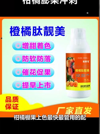 柑橘膨果冲刺,只需要一招 #柑橘种植 #柑橘种植技术 #柑橘管理