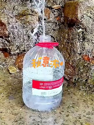 户外水桶车载自驾游储水桶露营家用储水用饮用纯净水桶装水大容量 #好物推荐 #户外车载水桶 #户外水桶 #车载好物 #自驾游