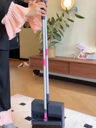 懒可2025 新款前翻簸箕不粘毛发扫地簸箕家用套装组合省力家用#家用簸箕 #省力清洁 #不粘毛发 #家居好物 #懒可簸箕