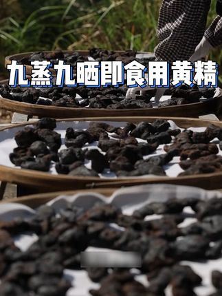 【正品8年-20年】柴火九蒸九晒 青城山土特产 深山生长 #黄精 #养身就是养健康 #健康养生