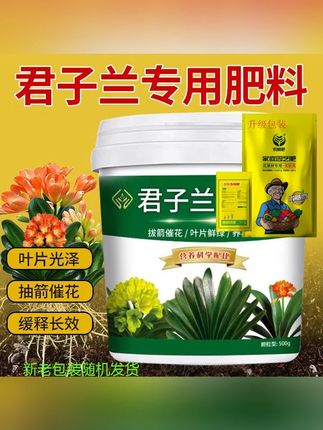 【君子兰专用肥】抽剑催化叶片光泽颗粒缓释营养颗粒有机肥料花肥#君子兰专用肥 #花肥 #有机肥 #君子兰肥料 #营养颗粒肥