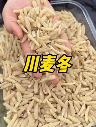 麦冬来咯,家人们,这个麦冬,真的很不错,颗粒饱满,原色原味,泡水,炖汤都很不错,喜欢的家人都可以安排起来啦。#麦冬#川麦冬#煲汤#无限回购的宝藏单品#男士神仙单品