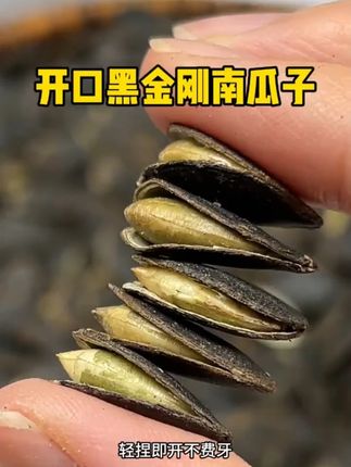 酥脆香醇的开口黑南瓜子!越嚼越上头!一口又一口好吃到停不下来了#南瓜子仁 #瓜子 #妈呀太香了 #追剧小零食 #粒粒精选颗颗饱满