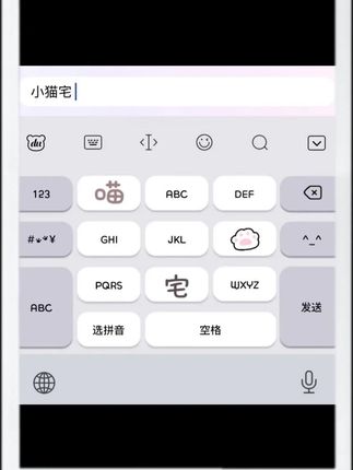小猫宅/苹果配件安卓双系统百度输入法皮肤美化办公设备服务计划