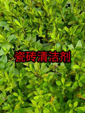 #家居装饰 #假花艺 #桌面花艺