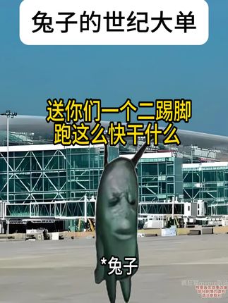 三十五亿交个朋友 #猫meme #搞笑 #万万没想到 #沙特 #一定要看到最后