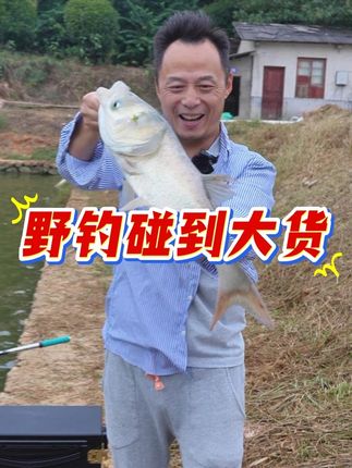 豪爽铂金竿5h19钓,5米4-1800克钓重#鱼竿推荐#钓鱼#鱼竿#综合竿