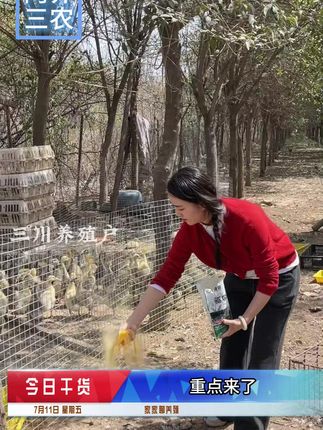 天气炎热,各种种蛇虫鼠蚁到处横行,房前屋后撒一撒,保护家人健康#我的乡村生活 #驱蛇粉 #驱蛇神器 #养殖场 #养殖