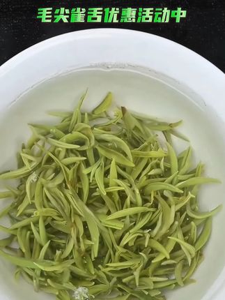 明前绿茶新茶叶2025贵州高山毛尖绿茶栗香耐泡纯手工高山云雾 明前绿茶新茶叶2025贵州高山毛尖绿茶栗香耐泡纯手工高山云雾绿茶,短标题: 毛尖茶优惠链接#爱喝茶的关注我 #今天你喝茶了吗 #绿茶