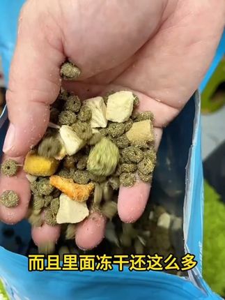 添加了这么多冻干,让猫咪真的长胖发腮。#猫粮 #平价猫粮推荐 #萌宠出道计划 #新手养猫