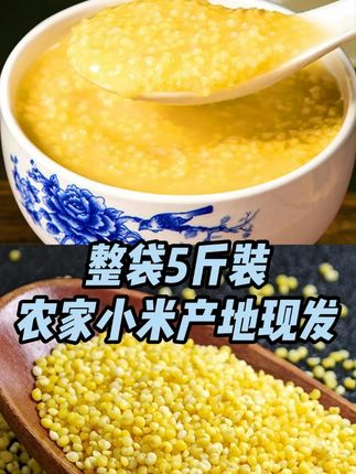 米香浓郁米油醇厚,黏黏糊糊,软糯香甜 #黄小米 #黄小米粥 #敖汉小米 #早餐 #超便宜超划算